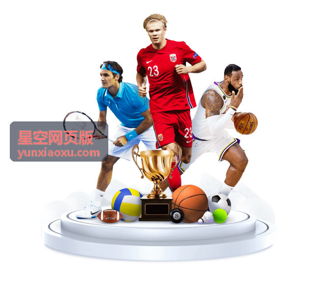 星空网页版模板与样式设置界面示意