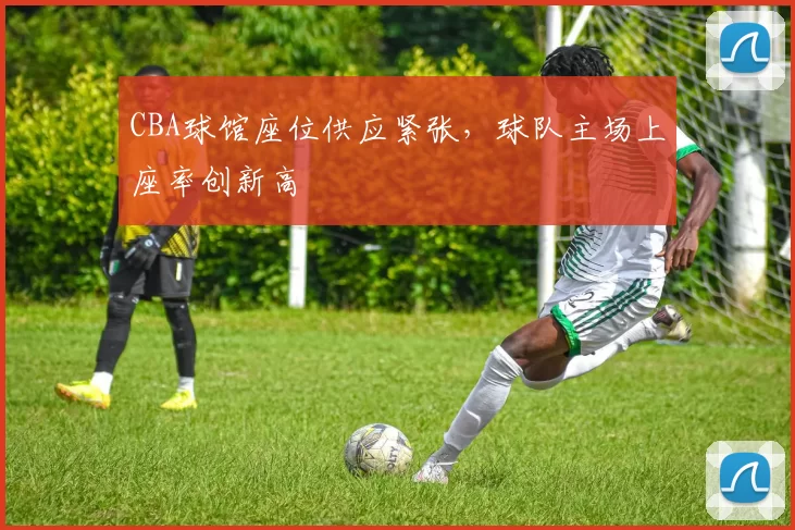 CBA球馆座位供应紧张，球队主场上座率创新高