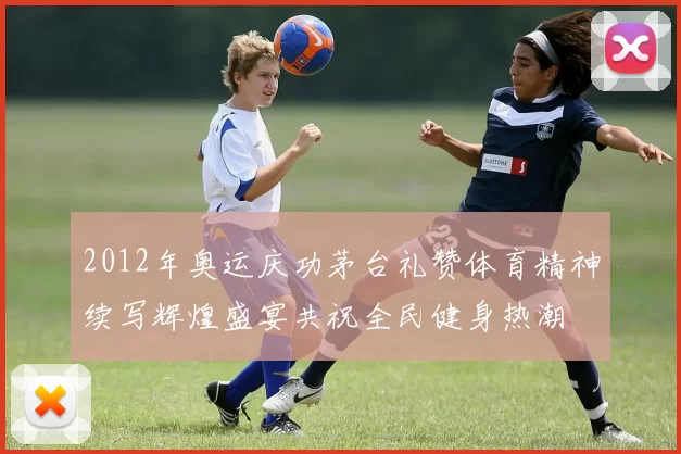 2012年奥运庆功茅台礼赞体育精神续写辉煌盛宴共祝全民健身热潮