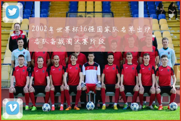 2002年世界杯16强国家队名单出炉 各队备战淘汰赛阶段
