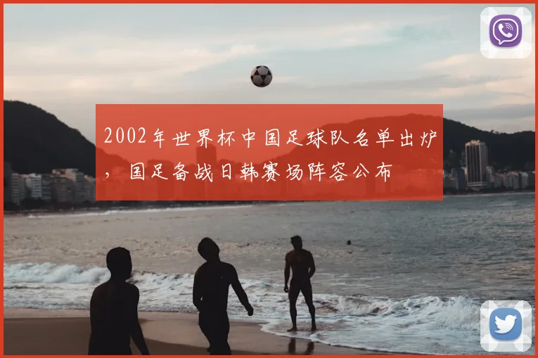 2002年世界杯中国足球队名单出炉,国足备战日韩赛场阵容公布