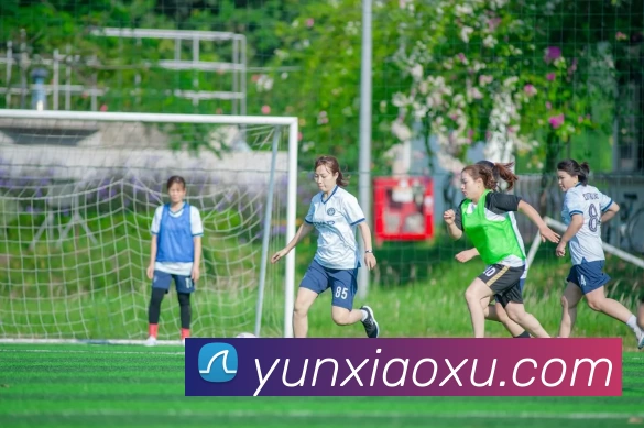 mksports官方服务体系